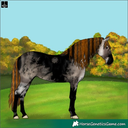 Horse Color:ERROR: UNKNOWN ANOMALY