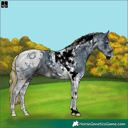 Horse Color:ERROR: UNKNOWN ANOMALY