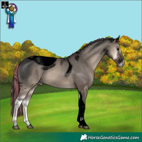 Horse Color:ERROR: UNKNOWN ANOMALY