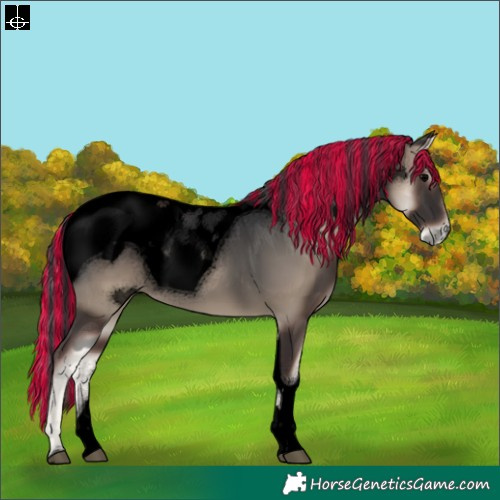 Horse Color:ERROR: UNKNOWN ANOMALY