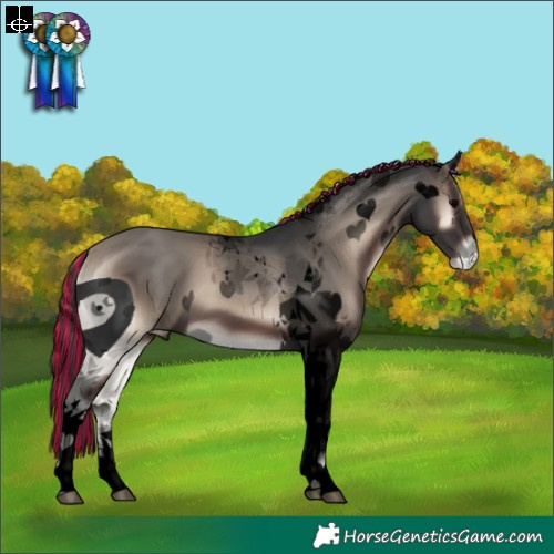 Horse Color:ERROR: UNKNOWN ANOMALY
