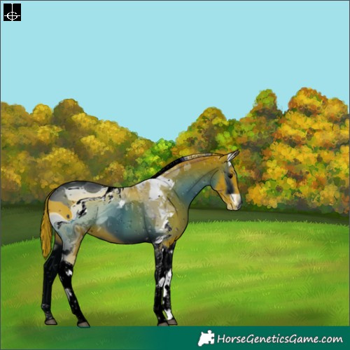 Horse Color:ERROR: UNKNOWN ANOMALY