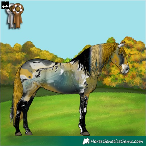 Horse Color:ERROR: UNKNOWN ANOMALY