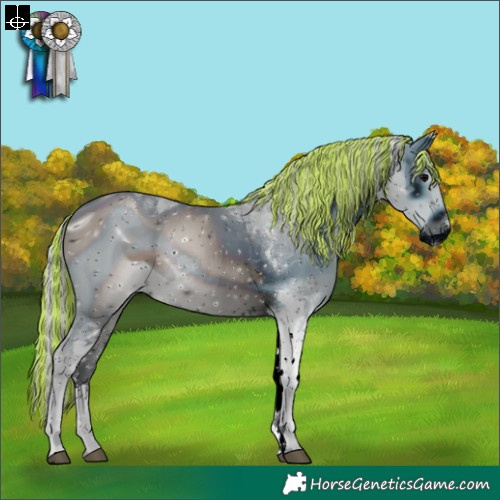 Horse Color:ERROR: UNKNOWN ANOMALY