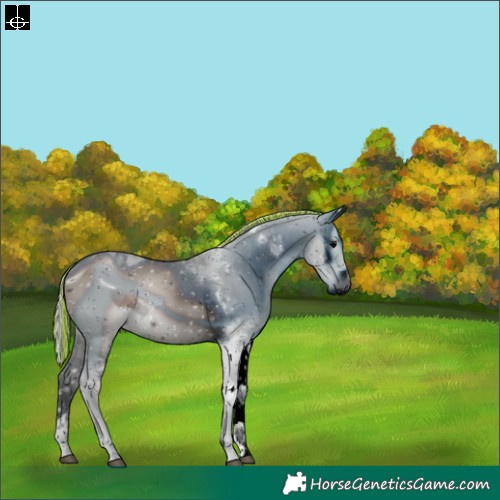 Horse Color:ERROR: UNKNOWN ANOMALY