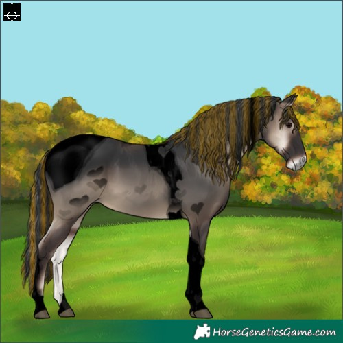 Horse Color:ERROR: UNKNOWN ANOMALY
