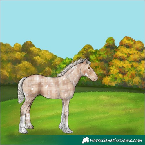 Horse Color:Plaid White Spotted Silver Black Ice Pearl Tobiano Rabicano