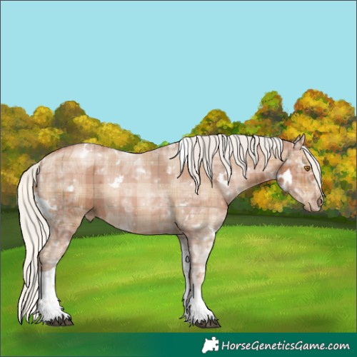 Horse Color:Plaid  White Spotted Silver Black Ice Pearl Tobiano Rabicano 