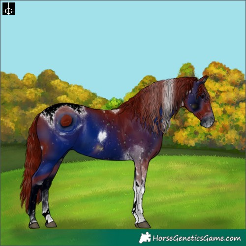 Horse Color:ERROR: UNKNOWN ANOMALY