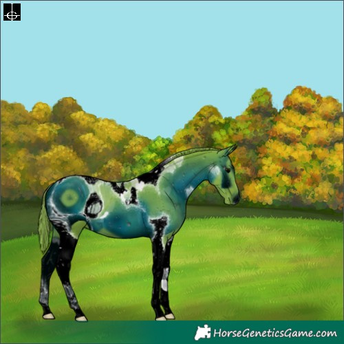 Horse Color:ERROR: UNKNOWN ANOMALY