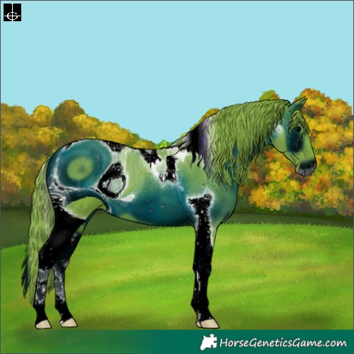 Horse Color:ERROR: UNKNOWN ANOMALY