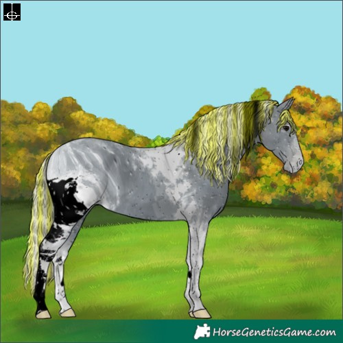 Horse Color:ERROR: UNKNOWN ANOMALY