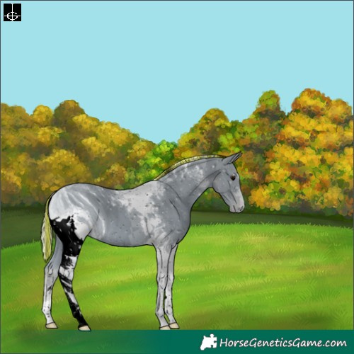 Horse Color:ERROR: UNKNOWN ANOMALY