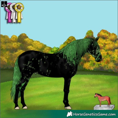 Horse Color:Void Watercolor Grullo Tobiano Appaloosa