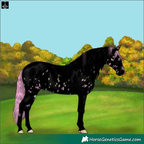 Horse Color:Void Watercolor Blue Onyx Tobiano Appaloosa