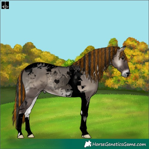 Horse Color:Void Painted Grullo Onyx Tobiano 