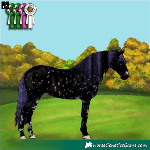 Horse Color:Void Watercolor Blue Onyx Tobiano Near Leopard 