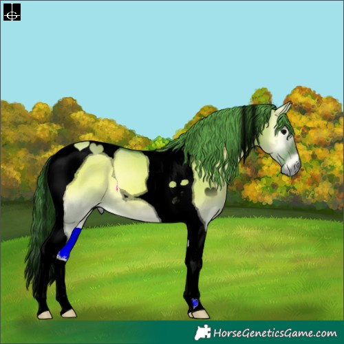 Horse Color:Void Watercolor Grullo Onyx Tobiano 