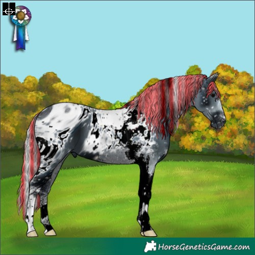 Horse Color:ERROR: UNKNOWN ANOMALY