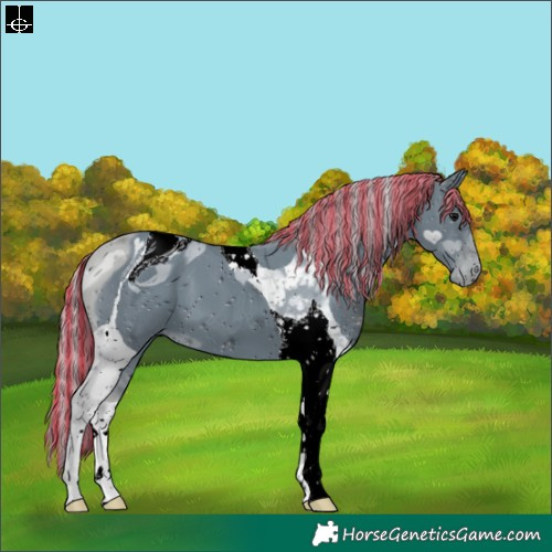 Horse Color:ERROR: UNKNOWN ANOMALY