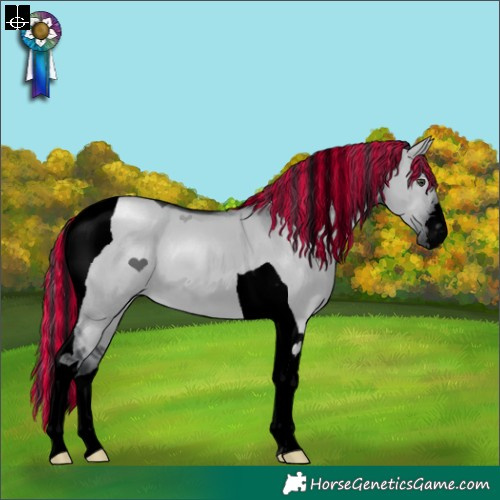 Horse Color:Void Painted Grullo Chinchilla Tobiano 