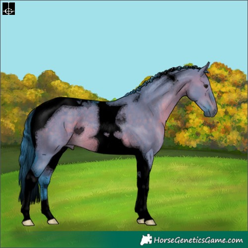 Horse Color:Void Watercolor Brown Dun Tobiano
