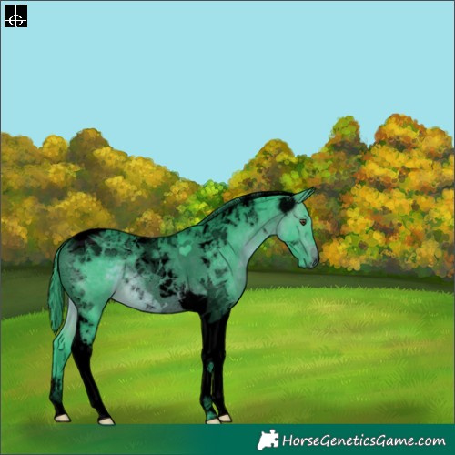 Horse Color:Void Watercolor Brown Tobiano 
