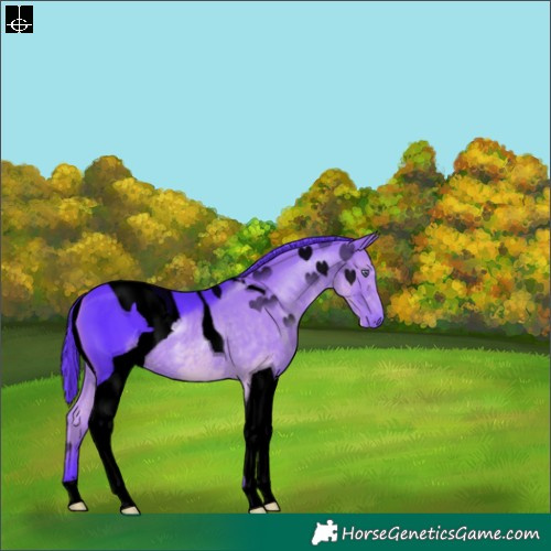 Horse Color:ERROR: UNKNOWN ANOMALY