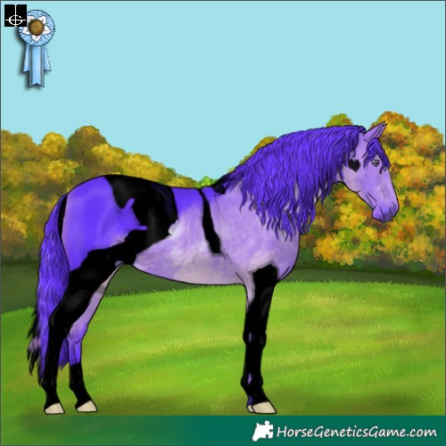 Horse Color:ERROR: UNKNOWN ANOMALY