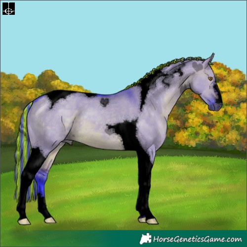 Horse Color:Void Painted Watercolor Brown Dun Tobiano