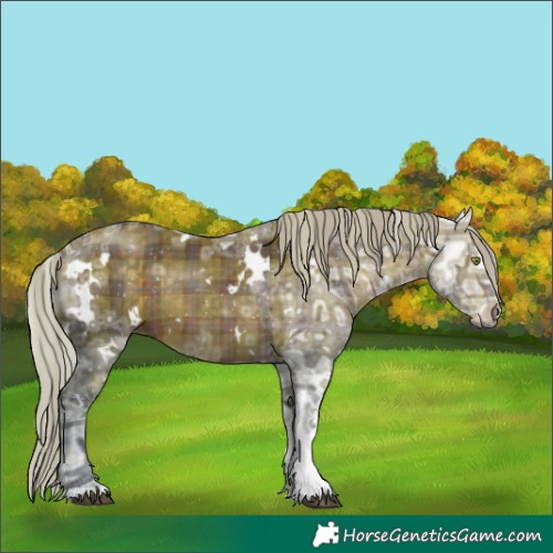 Horse Color:Plaid White Spotted Silver Brown Ice Rabicano