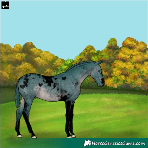 Horse Color:Void Watercolor Brown Chinchilla Tobiano 