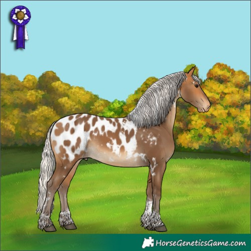 Horse Color:White Spotted Silver Buckskin Tobiano Appaloosa Rabicano