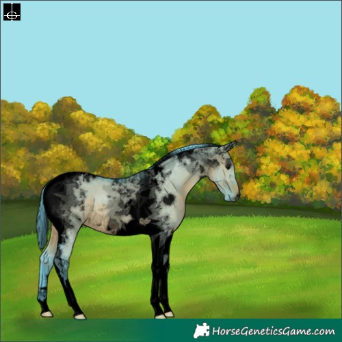 Horse Color:Void Watercolor Brown Dun Tobiano 