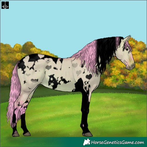 Horse Color:Void Watercolor White Spotted Brown Dun Tobiano