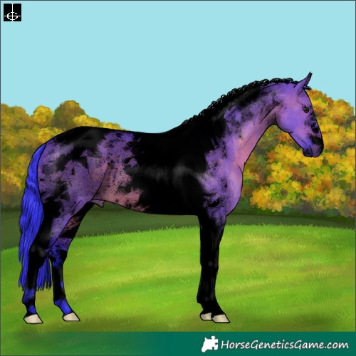 Horse Color:Void Watercolor Brown Dun Tobiano 
