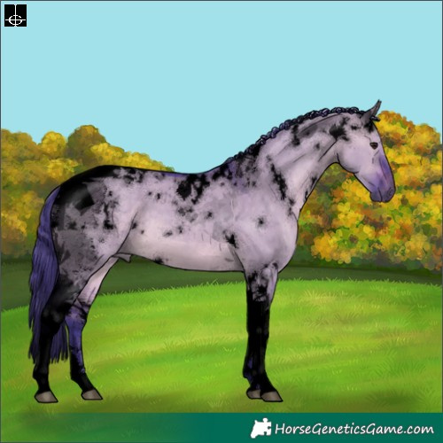 Horse Color:Void Watercolor White Spotted Brown Dun Tobiano 