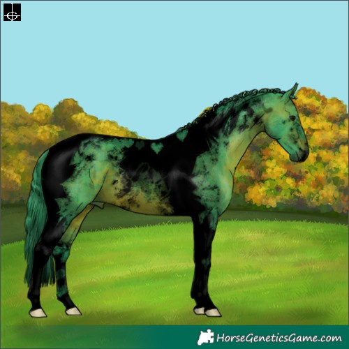 Horse Color:Void Watercolor Brown Tobiano