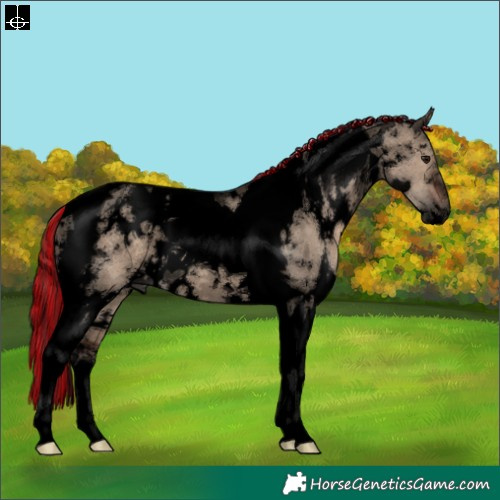 Horse Color:Void Painted White Spotted Brown Dun Tobiano