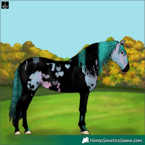 Horse Color:Void Watercolor White Spotted Brown Dun Tobiano 