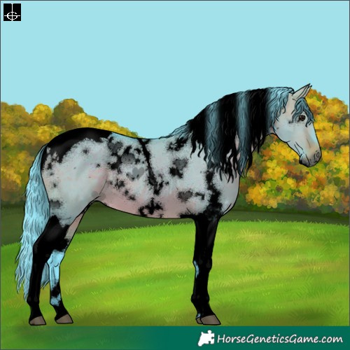 Horse Color:Void Watercolor White Spotted Brown Dun Tobiano 
