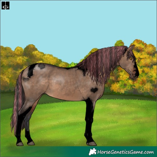 Horse Color:Void Painted Brown Dun Tobiano 