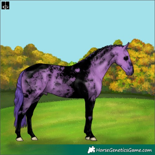 Horse Color:Void Watercolor Grullo Tobiano 