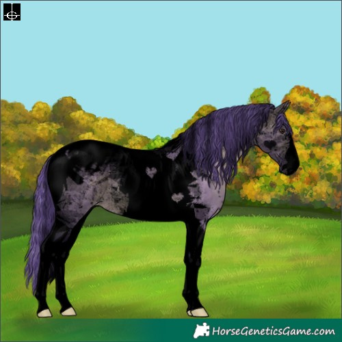 Horse Color:Void Watercolor Brown Dun Tobiano Snowflake Varnish