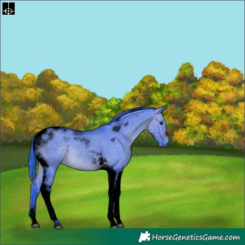 Horse Color:Void Watercolor Brown Dun Tobiano 