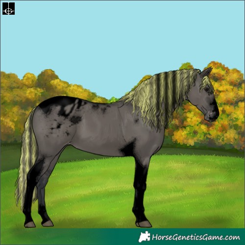 Horse Color:Void Painted Grullo Tobiano Varnish 