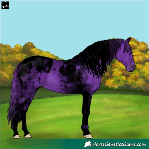 Horse Color:Void Watercolor Smoky Black Tobiano Appaloosa