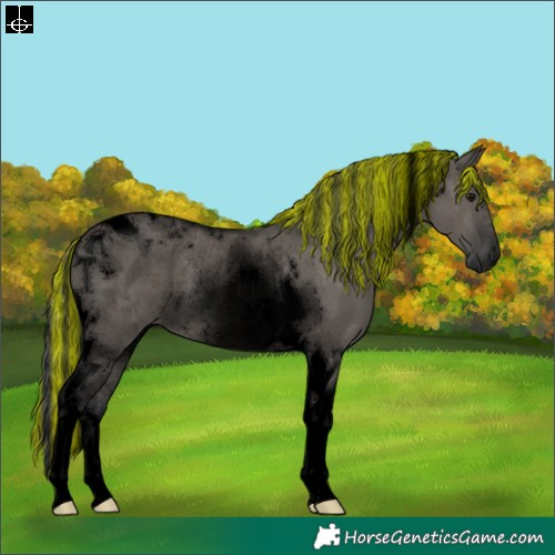Horse Color:Void Painted Grullo Tobiano Rabicano
