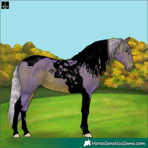 Horse Color:Void Watercolor Silver Brown Tobiano Rabicano