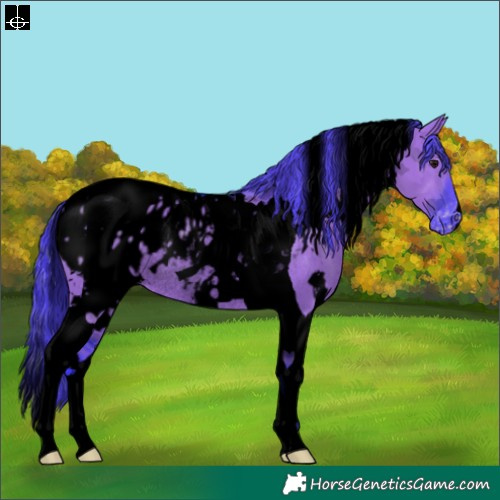 Horse Color:Void Watercolor White Spotted Grullo Tobiano Appaloosa Rabicano